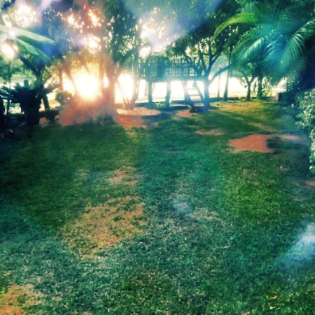 Lake View ดัมบูลลา ภายนอก รูปภาพ