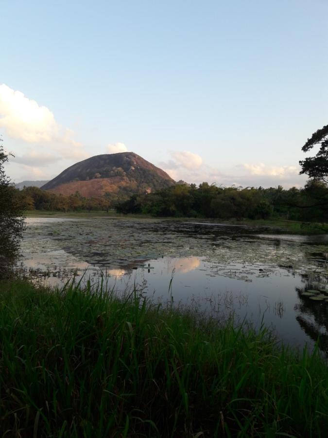 Lake View ดัมบูลลา ภายนอก รูปภาพ